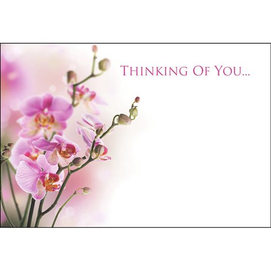 thinking of you florist message card oasis item code 60 00061