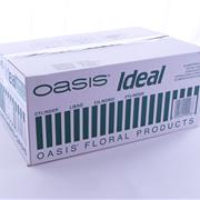 Oasis Ideal Floral Foam Cylinders Box of 72