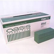 Oasis Ideal Floral Foam Maxlife Bricks Box of 20