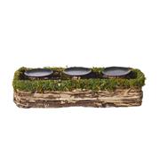 Mossy Trail 3 Candle Holder