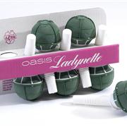 Oasis Ideal Floral Foam Ladynette Bouquet Holders