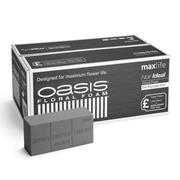 Oasis Noir Floral Foam Maxlife Bricks Box of 20