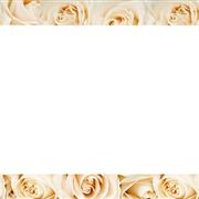 Message Cards Plain Cream