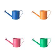 Viva La Vida Fiesta Watering Can 18cm