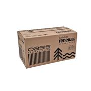 Oasis Renewal Floral Foam Bricks