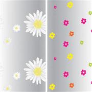 Daisy Film Roll