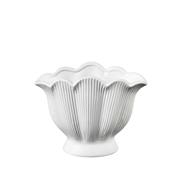 Ceramic Shell Vase Medium
