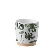 Monstera Ceramic Pot 125mm