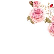 Blank Pink Message Cards Pack 50 – Shop Online