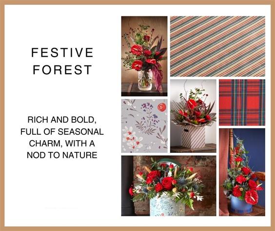 Festive Forest Packaging Collection