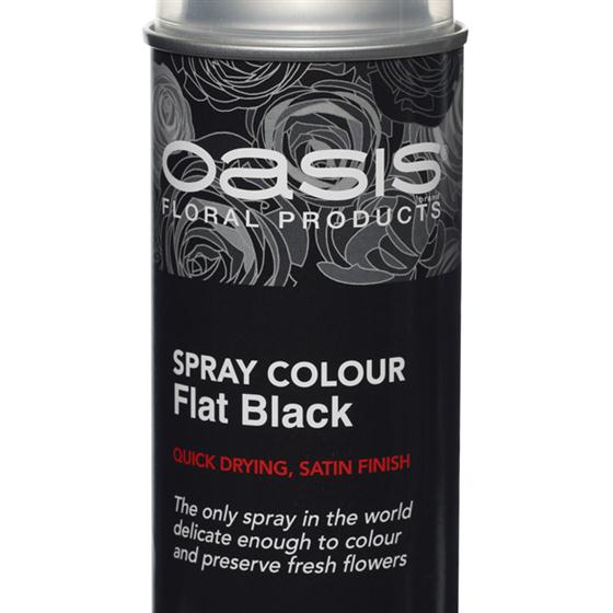 Flat Black Floral Spray Paint Colour Oasis item code 30