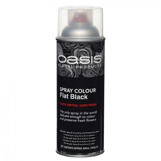 Flat Black Floral Spray Paint Colour Oasis item code 30