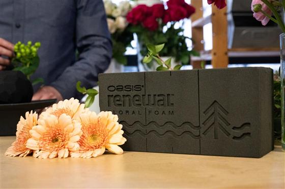 Floral Foam in Chennai - Premium Floral Arranging Foam - Verified Floral Foam in Chennai - Premium Floral Arranging Foam - Verified